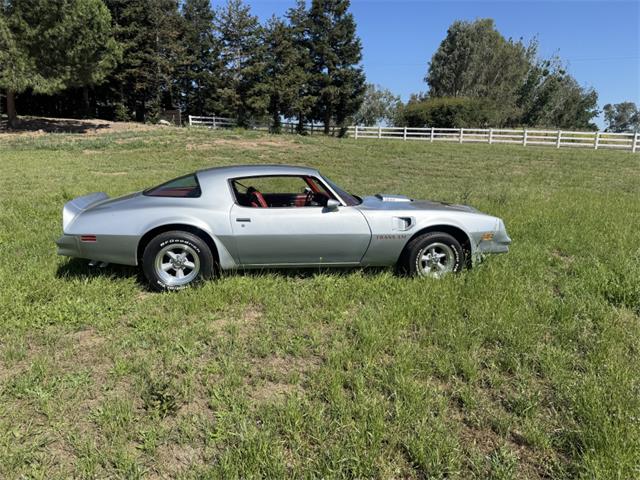 1977 Pontiac Firebird Trans Am (CC-2089752) for sale in Reno, Nevada