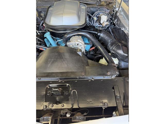 1977 Pontiac Firebird Trans Am (CC-2089752) for sale in Reno, Nevada
