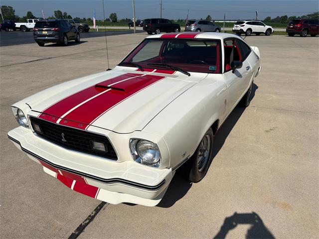 1978 Ford Mustang Cobra (CC-2089797) for sale in Effingham, Illinois