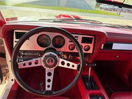 1978 Ford Mustang Cobra (CC-2089797) for sale in Effingham, Illinois