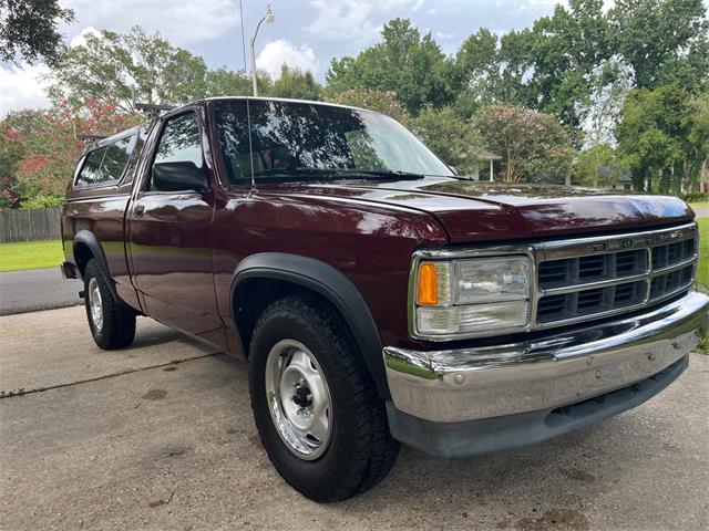1993 Dodge Dakota (CC-2089799) for sale in Cornelius, North Carolina