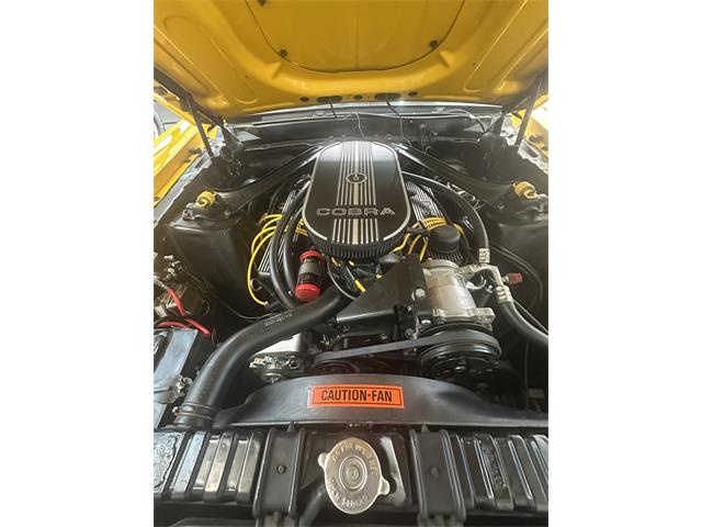 1969 Ford Mustang Mach 1 (CC-2089844) for sale in Lake Havasu City, Arizona