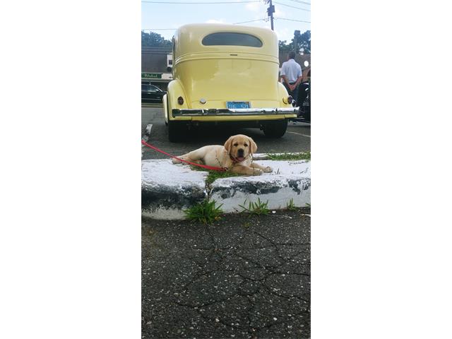 1934 Chevrolet Master (CC-2089897) for sale in Babylon , New York