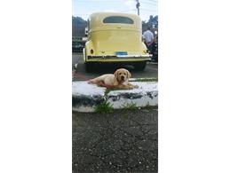 1934 Chevrolet Master (CC-2089897) for sale in Babylon , New York