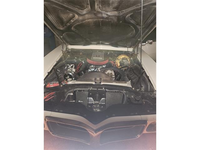 1969 Pontiac Firebird Trans Am (CC-2089913) for sale in Missoula, Montana