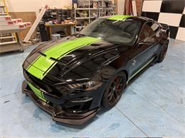 2020 Shelby Mustang (CC-2091009) for sale in Reno, Nevada