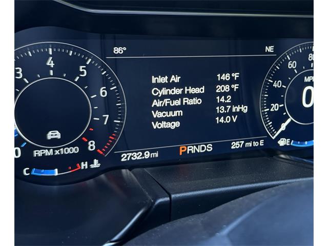 2020 Shelby Mustang (CC-2091009) for sale in Reno, Nevada