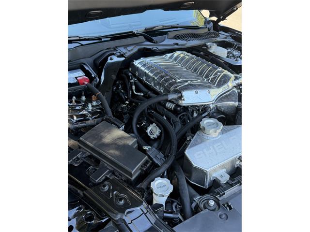 2020 Shelby Mustang (CC-2091009) for sale in Reno, Nevada