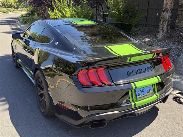 2020 Shelby Mustang (CC-2091009) for sale in Reno, Nevada