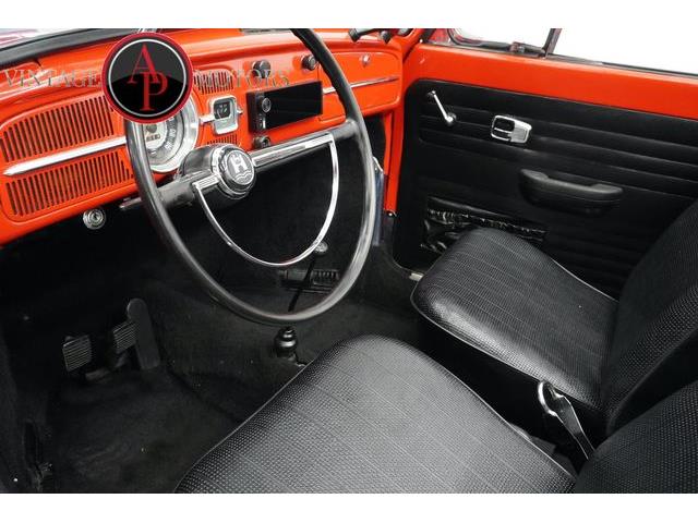1967 Volkswagen Beetle (CC-2091030) for sale in Statesville, North Carolina