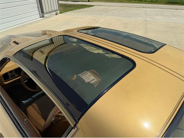 1978 Pontiac Firebird Trans Am (CC-2091035) for sale in Lincoln, Nebraska