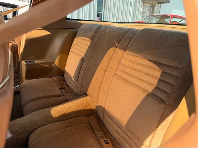1978 Pontiac Firebird Trans Am (CC-2091035) for sale in Lincoln, Nebraska