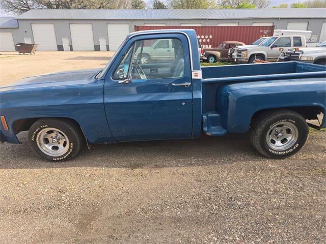 1979 GMC C1500 (CC-2091052) for sale in Spirit Lake, Iowa