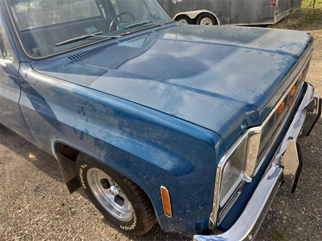 1979 GMC C1500 (CC-2091052) for sale in Spirit Lake, Iowa