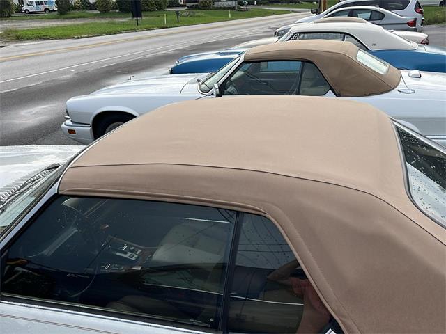 1994 Jaguar XJS (CC-2091073) for sale in Heath, Ohio