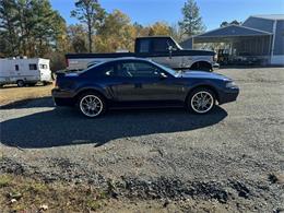 2001 Ford Mustang Cobra (CC-2091126) for sale in South Boston, Virginia