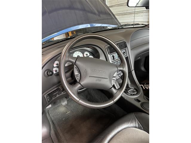 2001 Ford Mustang Cobra (CC-2091126) for sale in South Boston, Virginia
