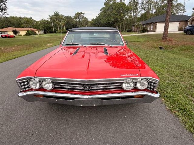 1967 Chevrolet Chevelle (CC-2091171) for sale in Cadillac, Michigan
