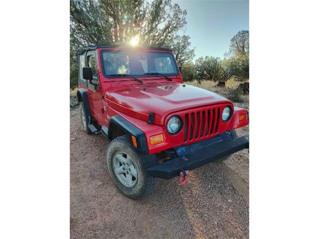 1997 Jeep Wrangler (CC-2091175) for sale in Cadillac, Michigan