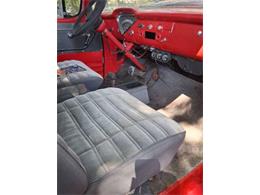1959 Chevrolet Apache (CC-2091180) for sale in Cadillac, Michigan