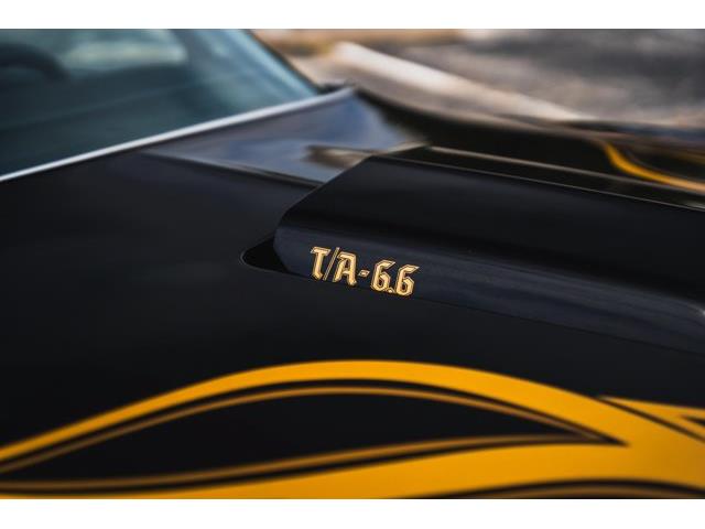 1977 Pontiac Firebird (CC-2091181) for sale in Carrollton, Texas