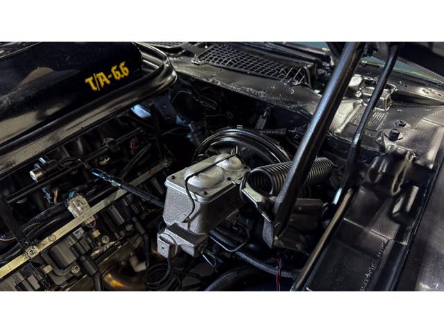 1977 Pontiac Firebird (CC-2091181) for sale in Carrollton, Texas