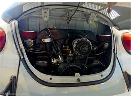 1984 Volkswagen Type 1 (CC-2091199) for sale in Reno, Nevada