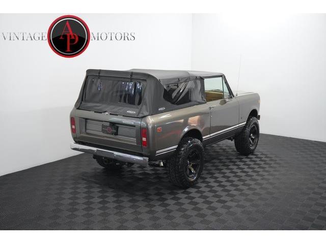 1976 International Scout (CC-2091218) for sale in Statesville, North Carolina