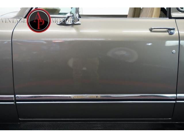 1976 International Scout (CC-2091218) for sale in Statesville, North Carolina