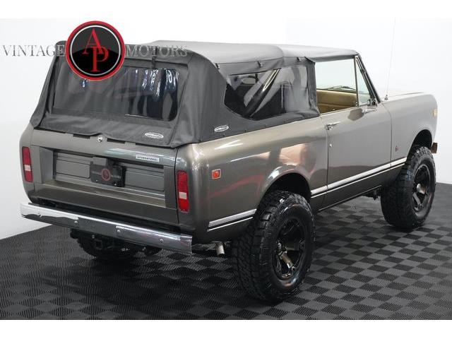 1976 International Scout (CC-2091218) for sale in Statesville, North Carolina