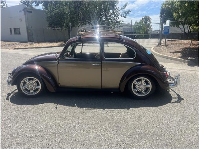 1966 Volkswagen Beetle (CC-2091307) for sale in Roseville, California