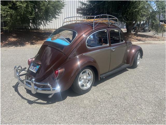 1966 Volkswagen Beetle (CC-2091307) for sale in Roseville, California