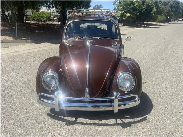 1966 Volkswagen Beetle (CC-2091307) for sale in Roseville, California