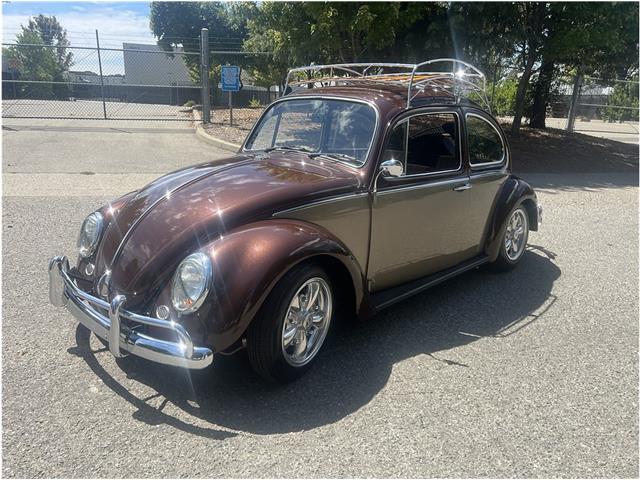 1966 Volkswagen Beetle (CC-2091307) for sale in Roseville, California