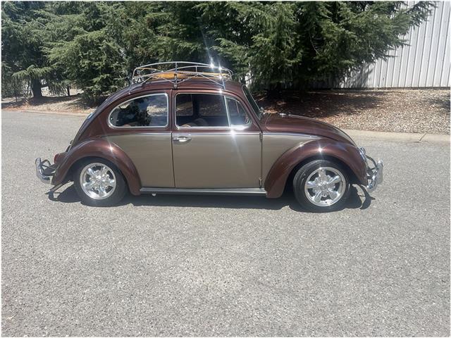 1966 Volkswagen Beetle (CC-2091307) for sale in Roseville, California