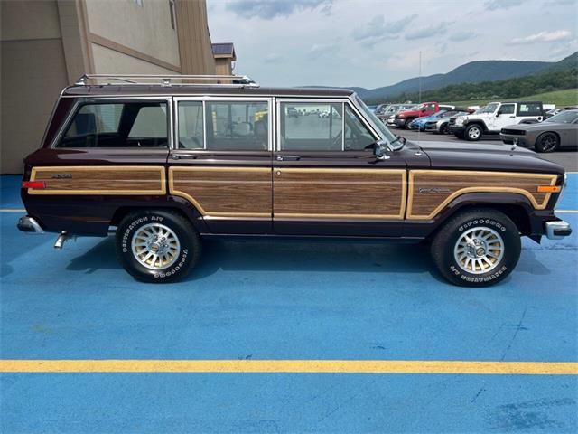 1989 Jeep Grand Wagoneer (CC-2091311) for sale in Hilton, New York