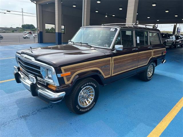 1989 Jeep Grand Wagoneer (CC-2091311) for sale in Hilton, New York