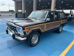 1989 Jeep Grand Wagoneer (CC-2091311) for sale in Hilton, New York