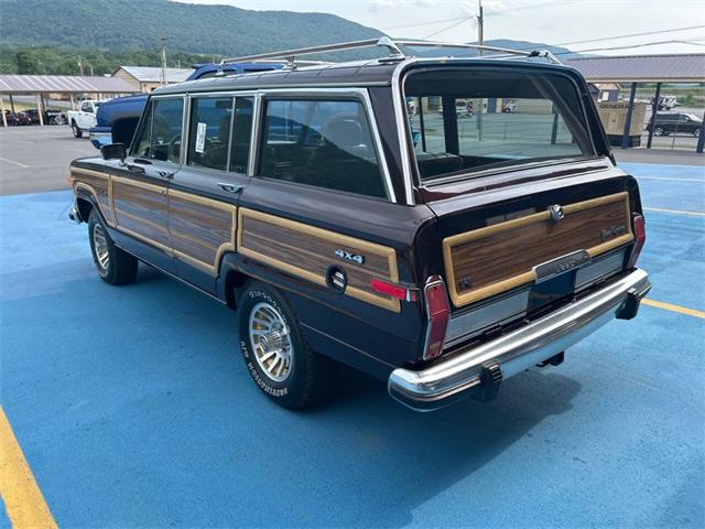 1989 Jeep Grand Wagoneer (CC-2091311) for sale in Hilton, New York