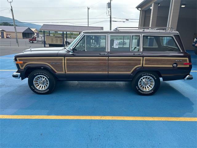 1989 Jeep Grand Wagoneer (CC-2091311) for sale in Hilton, New York