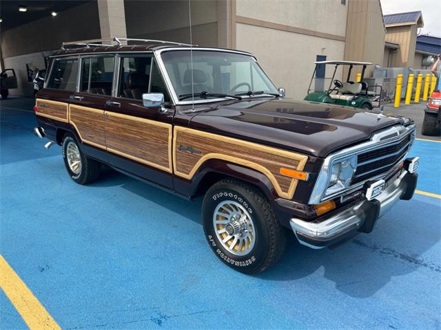 1989 Jeep Grand Wagoneer (CC-2091311) for sale in Hilton, New York