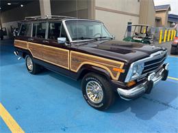 1989 Jeep Grand Wagoneer (CC-2091311) for sale in Hilton, New York