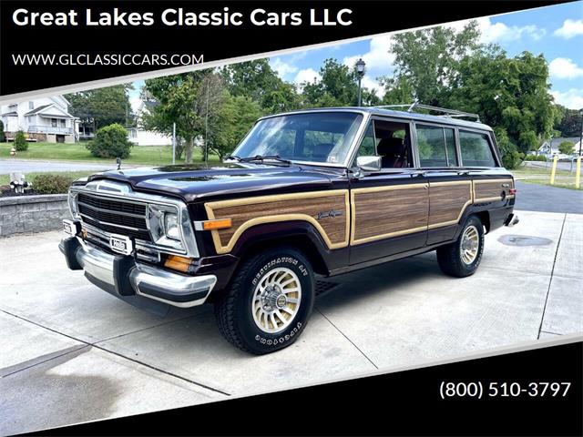 1989 Jeep Grand Wagoneer (CC-2091311) for sale in Hilton, New York