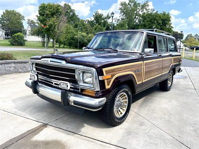 1989 Jeep Grand Wagoneer (CC-2091311) for sale in Hilton, New York