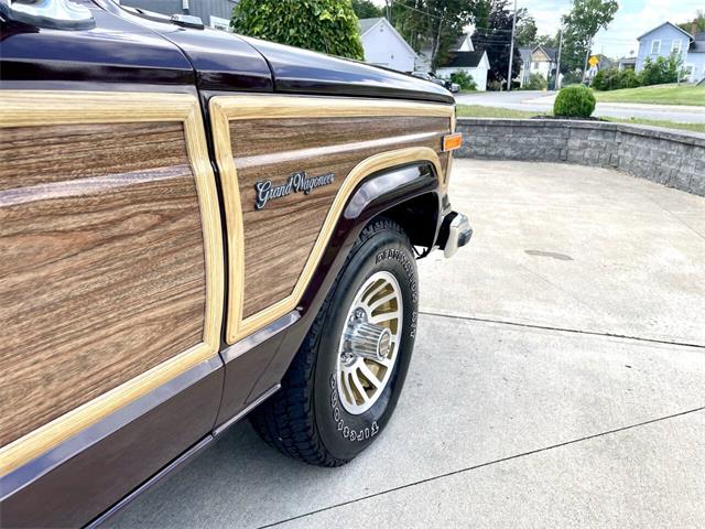 1989 Jeep Grand Wagoneer (CC-2091311) for sale in Hilton, New York