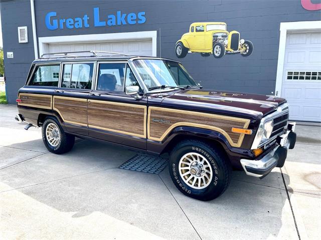 1989 Jeep Grand Wagoneer (CC-2091311) for sale in Hilton, New York