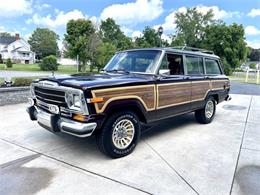 1989 Jeep Grand Wagoneer (CC-2091311) for sale in Hilton, New York