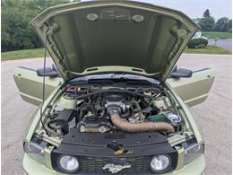 2005 Ford Mustang (CC-2091446) for sale in Palmetto, Florida