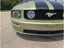 2005 Ford Mustang (CC-2091446) for sale in Palmetto, Florida
