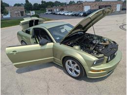 2005 Ford Mustang (CC-2091446) for sale in Palmetto, Florida